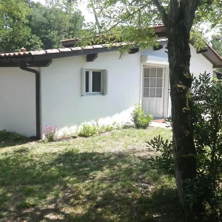 Cap Ferret 44ha Ref 221 *